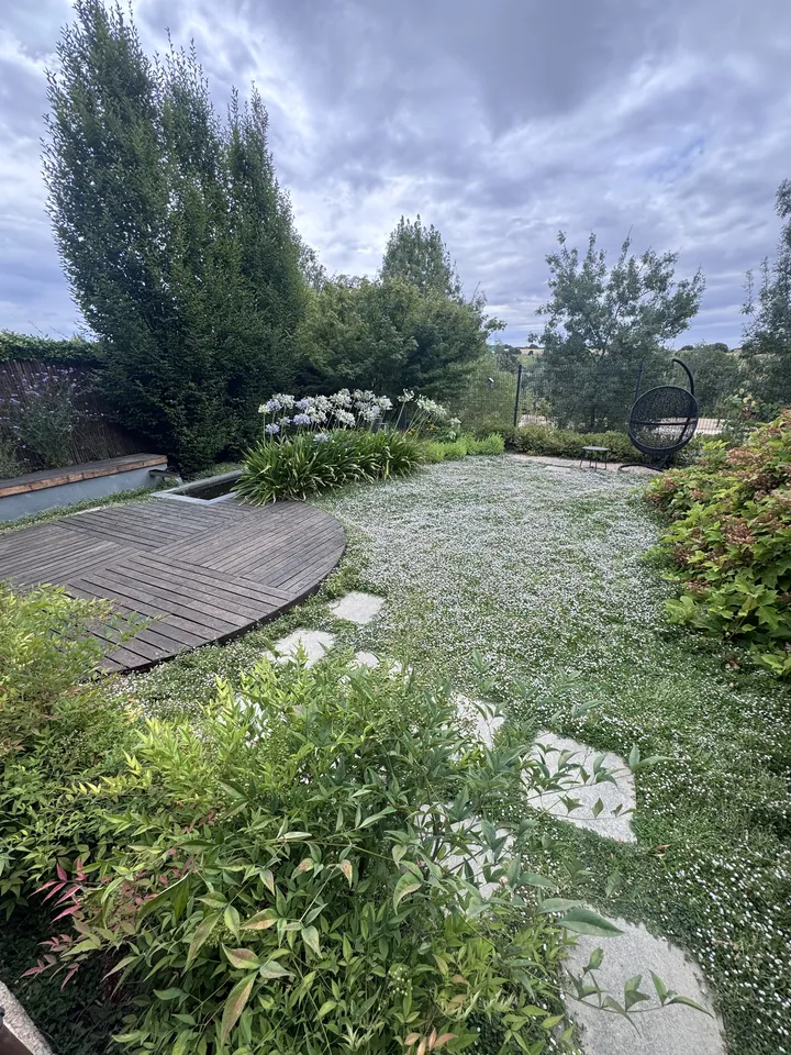 Jardín con césped blanqueado por un episodio meteorológico; fotografía 1 de esta serie