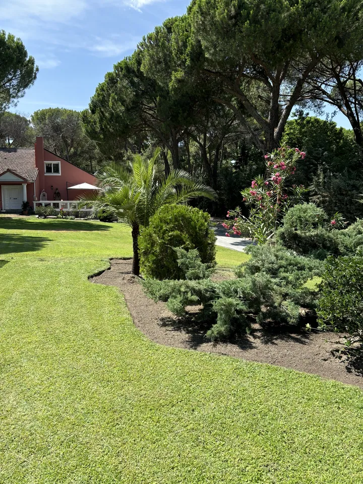 Jardín con pradera verde, pinos y masas de vegetación; fotografía 2 de esta serie
