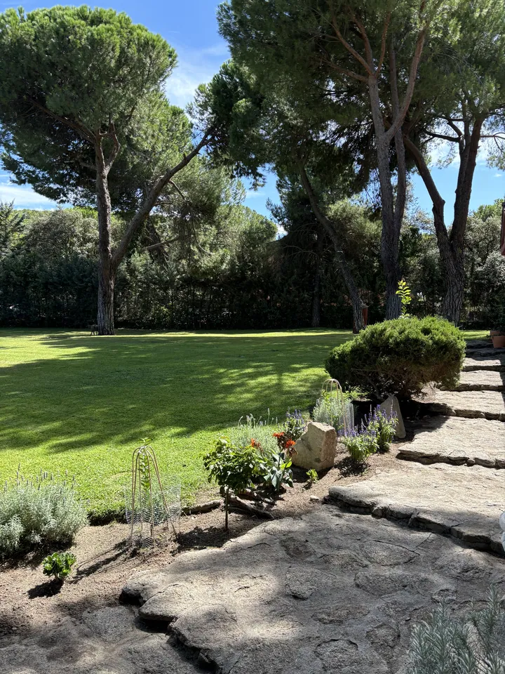 Jardín con pradera verde, pinos y masas de vegetación; fotografía 4 de esta serie