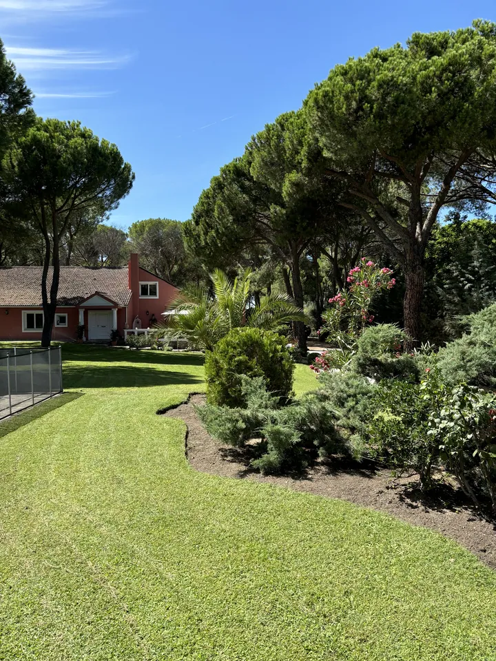 Jardín con pradera verde, pinos y masas de vegetación; fotografía 5 de esta serie