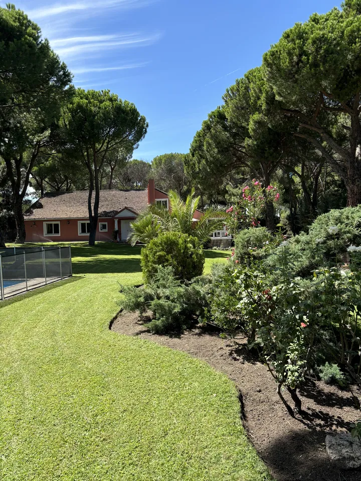 Jardín con pradera verde, pinos y masas de vegetación; fotografía 6 de esta serie
