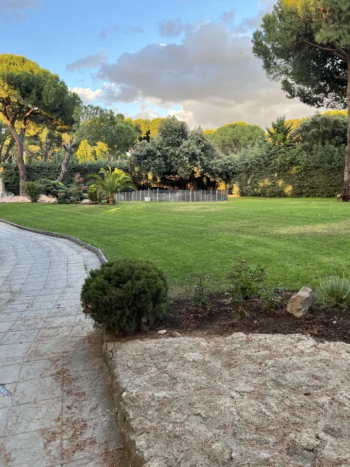 Jardín con pradera verde, pinos y masas de vegetación; fotografía 7 de esta serie